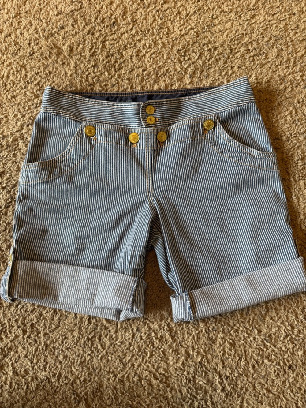 Striped Blue and White Women’s Shorts